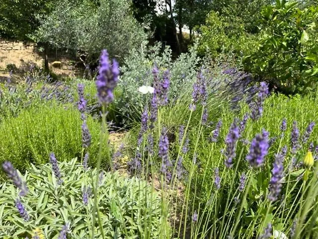 Vella Διαμέρισμα *